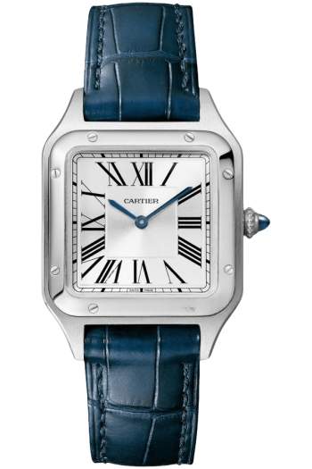Cartier Santos Ref. WSSA0086 Super Clone Watch