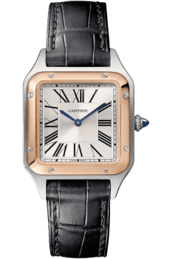 Cartier Santos Ref. W2SA0038 Super Clone Watch