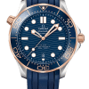 Omega Seamaster Ref. 210.22.42.20.03.002 Super Clone Watch