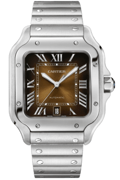 Cartier Santos Ref. WSSA0064 Super Clone Watch