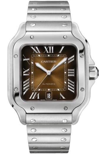 Cartier Santos Ref. WSSA0064 Super Clone Watch