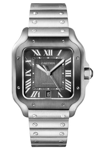 Cartier Santos Ref. WSSA0037 Super Clone Watch